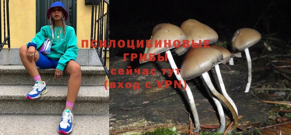 прущая мука Балахна