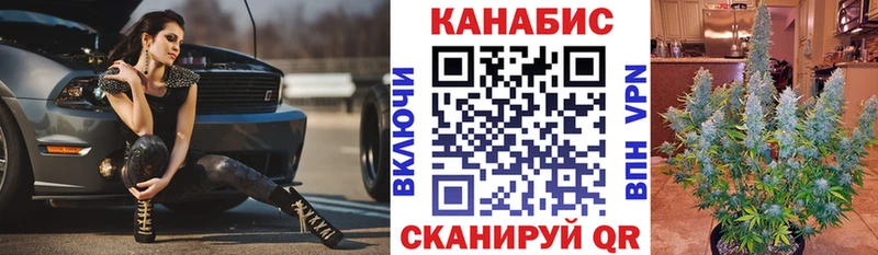 наркота  Вязьма  Канабис план 